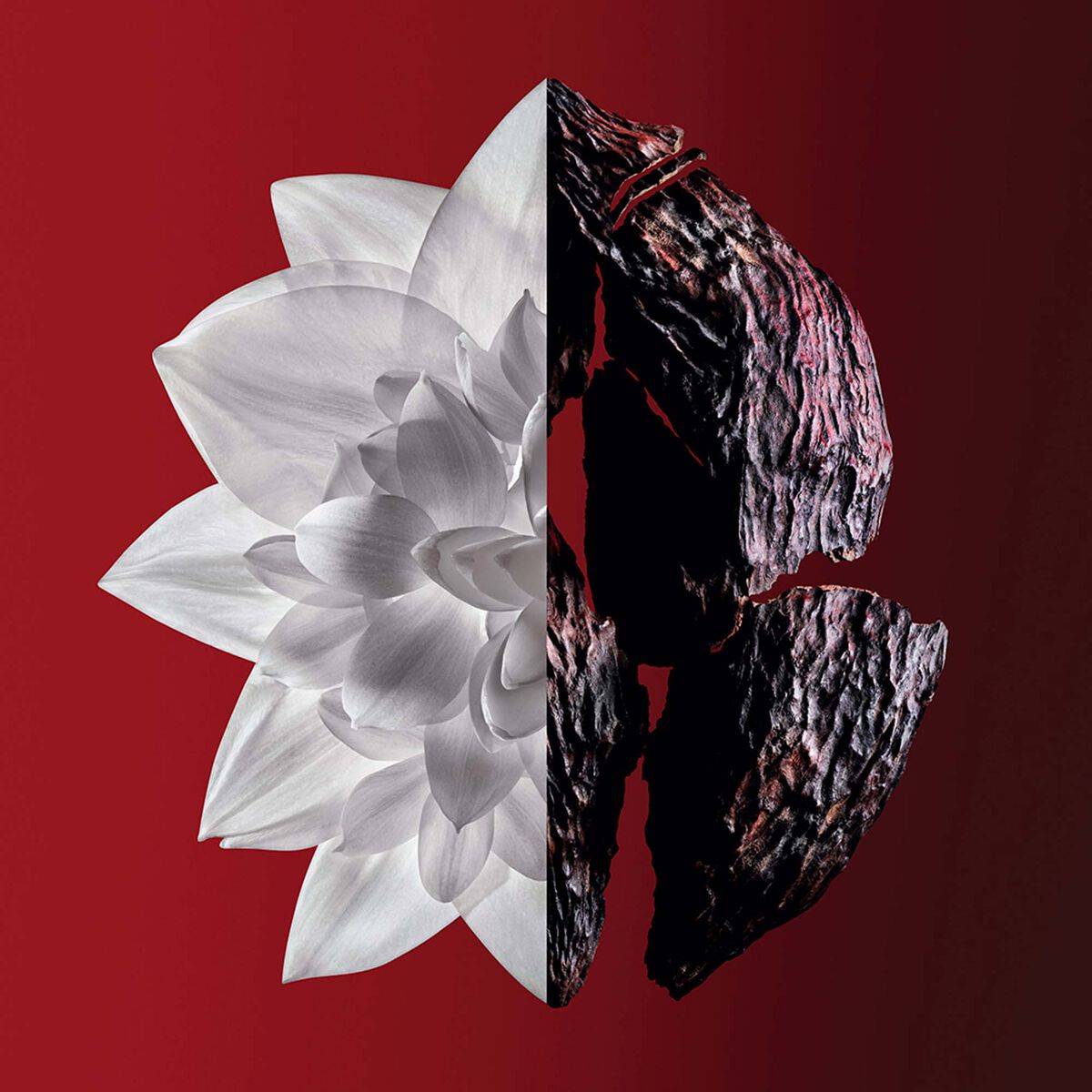 L'Interdit Rouge Ultime -Givenchy – Image 2