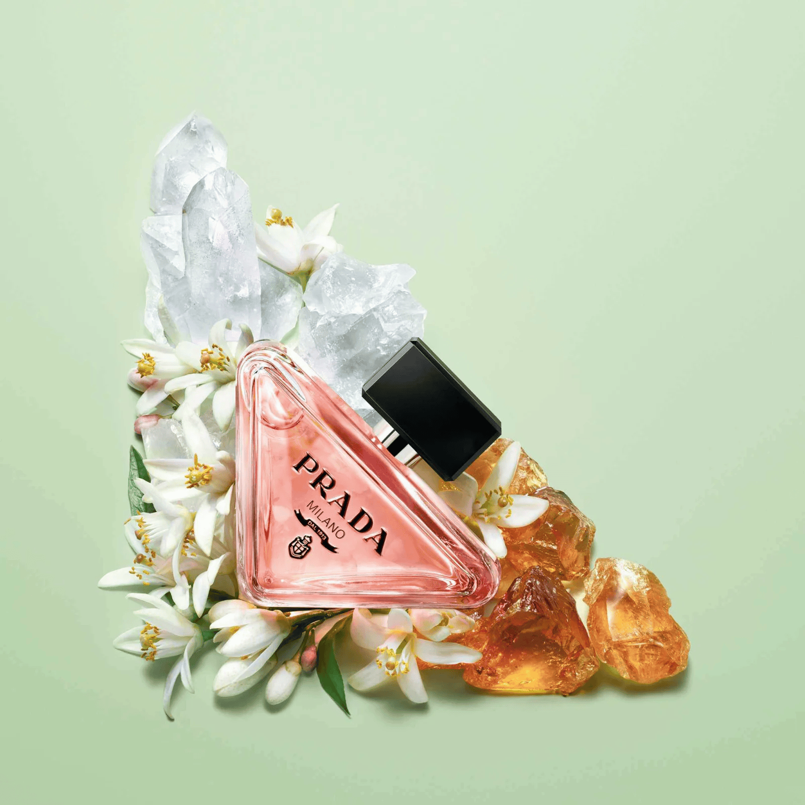 Prada Paradoxe - Prada – Image 2
